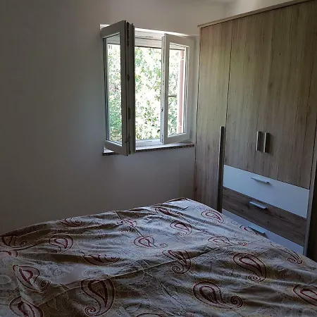Red Wings Apartment